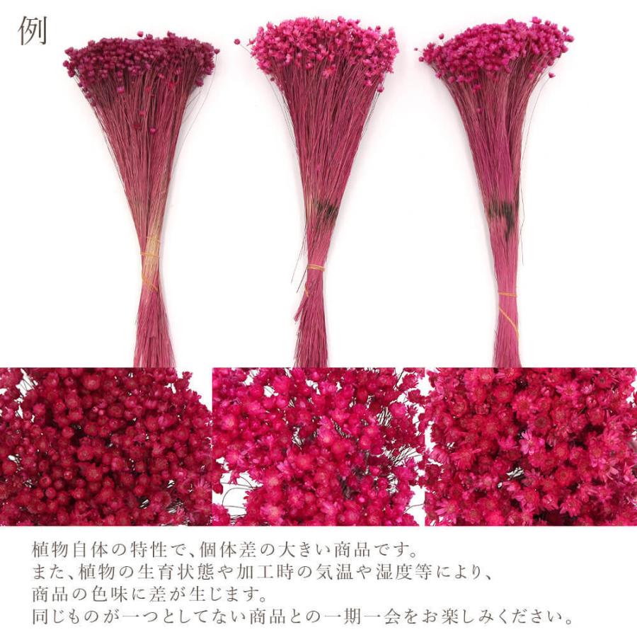 新作揃え ドライフラワー 即日出荷 東方貿易 スターフラワー ミニ ダークピンク スワッグ ブーケ ドライフラワー花束 花束 ドライフラワースワッグ Wantannas Go Id