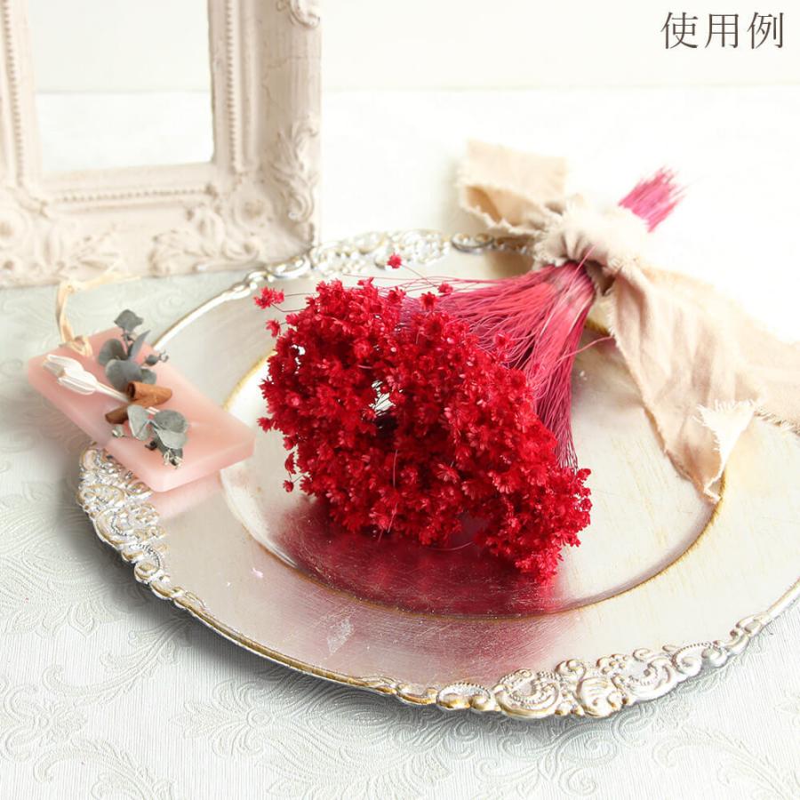 ドライフラワー 花材 即日出荷 スターフラワー・ミニ レッド ドライフラワー 花材 即日出荷 スターフラワー・ミニ レッド