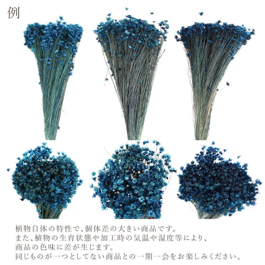 《ドライフラワー 花材》★即日出荷★東方貿易 スターフラワー・ミニ ブルー 青 スワッグ ブーケ ドライフラワー花束 花束 ドライフラワースワッグ|y-hanabishi|04