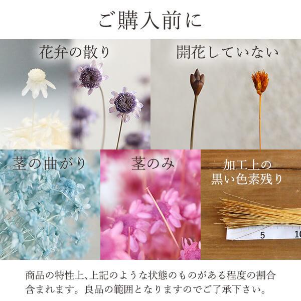 《ドライフラワー 花材》★即日出荷★東方貿易 スターフラワー・ミニ ブルー 青 スワッグ ブーケ ドライフラワー花束 花束 ドライフラワースワッグ|y-hanabishi|05