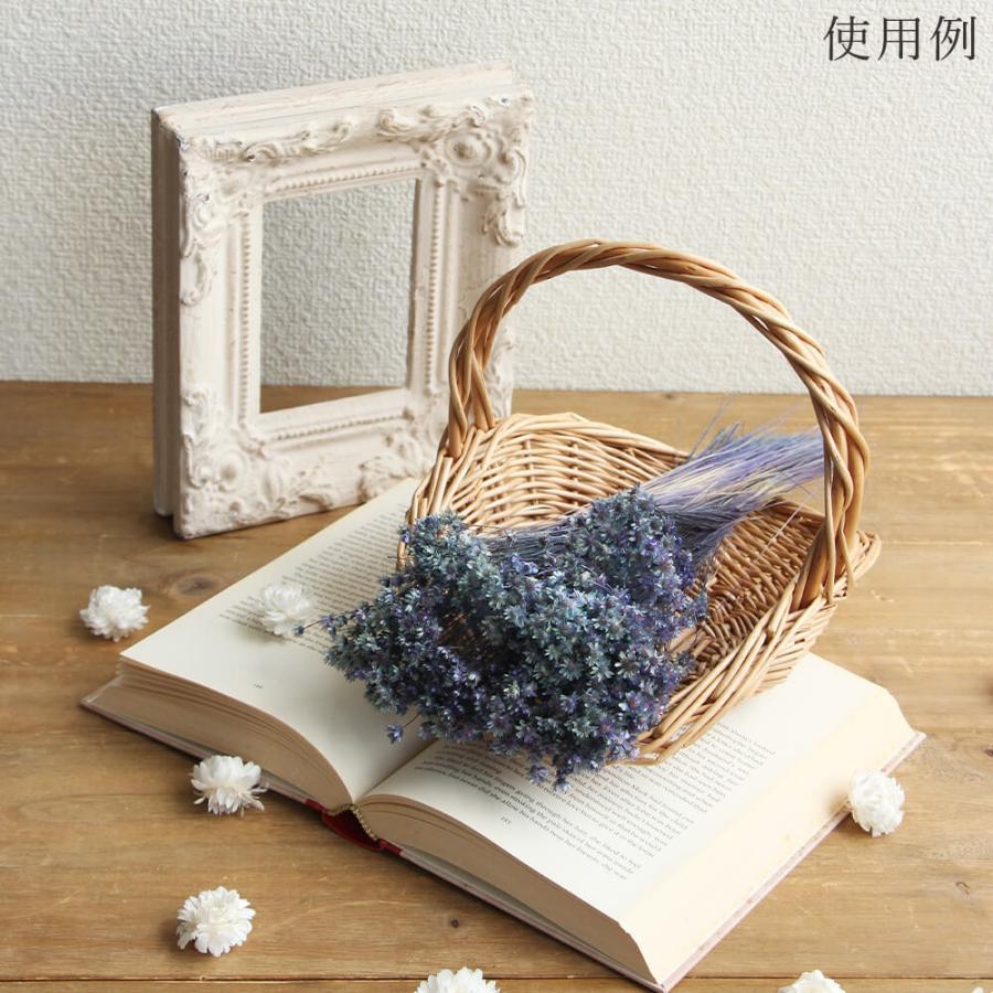 ドライフラワー 花材 即日出荷 スターフラワー・ミニ グラデーション 