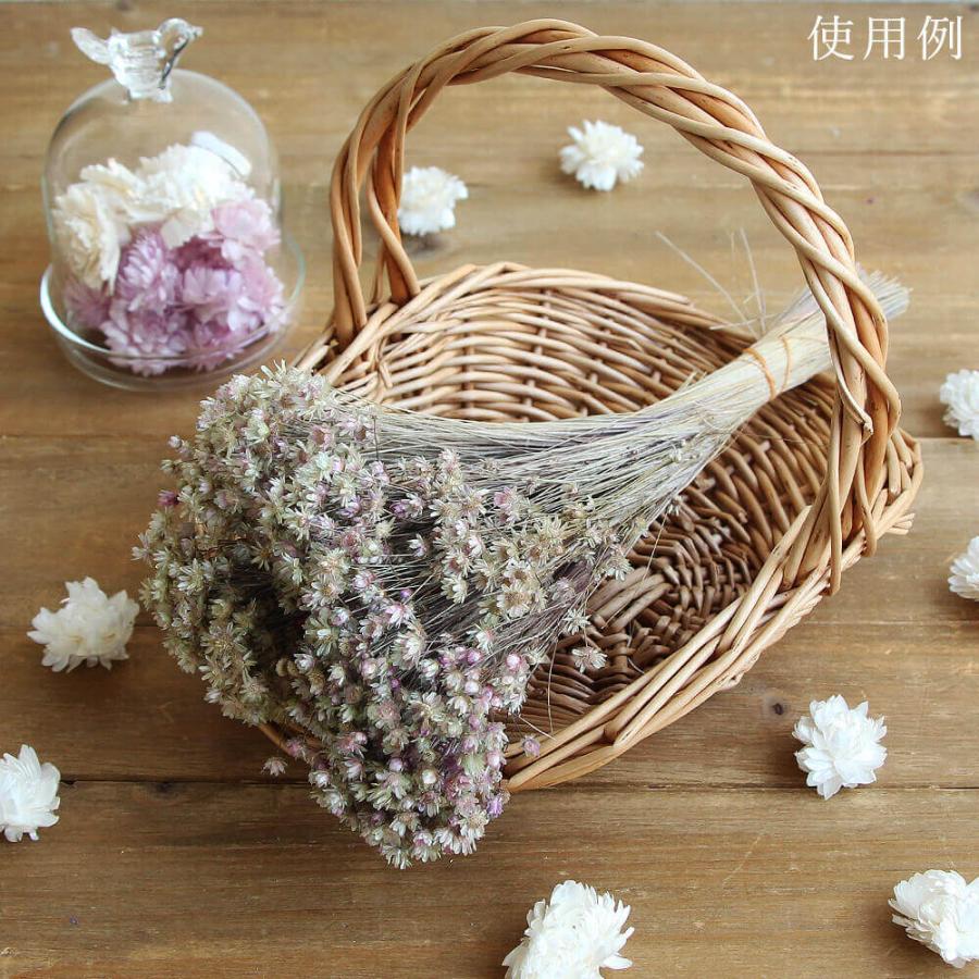 ドライフラワー 花材 即日出荷 スターフラワー・ミニ グレイブルー