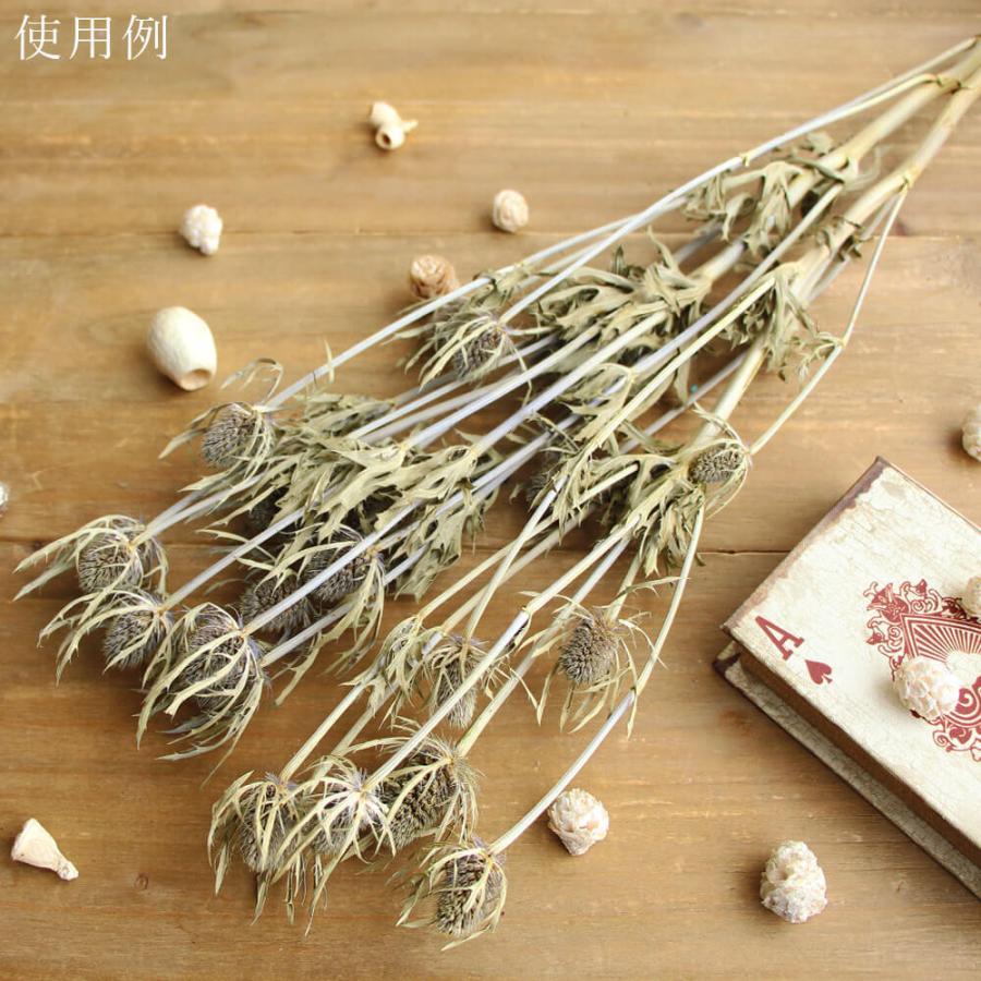 ドライフラワー 花材 即日出荷 特価 エリンジウム エリンジューム