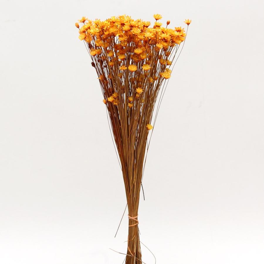 ドライフラワー 花材 即日出荷 特価 スターフラワー イエロー 花材 素材 材料 パーツ 黄色 オレンジ スワッグ ブーケ ドライフラワー花束 リース 東方貿易（Yahoo!・造花ドライフラワー専門問屋花びし）
