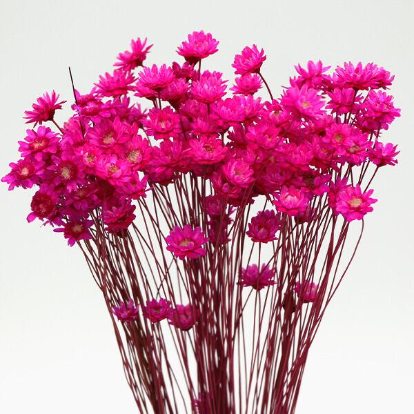 P5倍中 爆買】 造花 とりよせ品 桃ピック 桃の花 モモの花 和