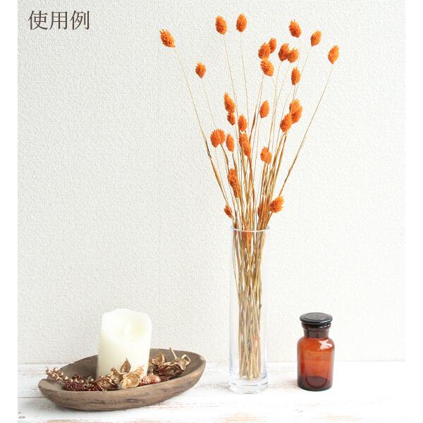 ドライフラワー 花材 即日出荷 ファラリス オレンジ スワッグ ブーケ  