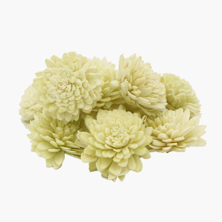 ハンドメイドフラワー 花材 即日出荷 東方貿易 ソーラーダリア 4cm ライトグリーン ドライフラワー 黄緑 グリーン ボタニカル ソーラー 花 Tbo 165 64 造花ドライフラワー専門問屋花びし 通販 Yahoo ショッピング