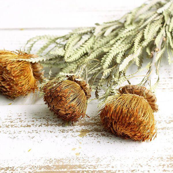 ドライフラワー 花材 即日出荷 フォルモッサ ナチュラル