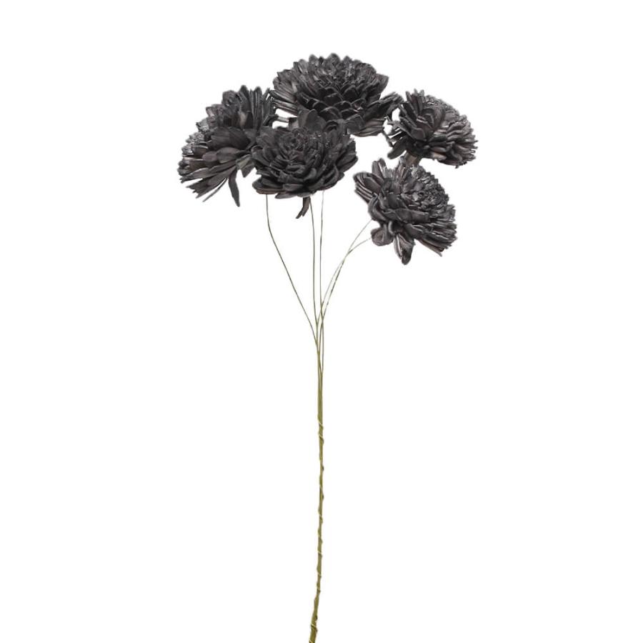ハンドメイドフラワー 花材 即日出荷 ソーラーダリア ワイヤーステム 6cm ブラック 花材 素材 材料 パーツ ドライフラワー ソラフラワー 黒 花束 東方貿易（Yahoo!・造花ドライフラワー専門問屋花びし）