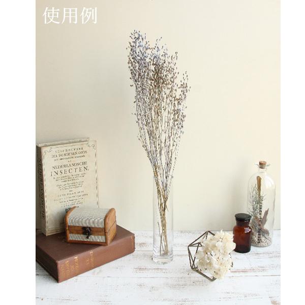 ドライフラワー 即日出荷 東方貿易 レピデューム ラベンダー Tbo 302 84 造花ドライフラワー専門問屋花びし 通販 Yahoo ショッピング