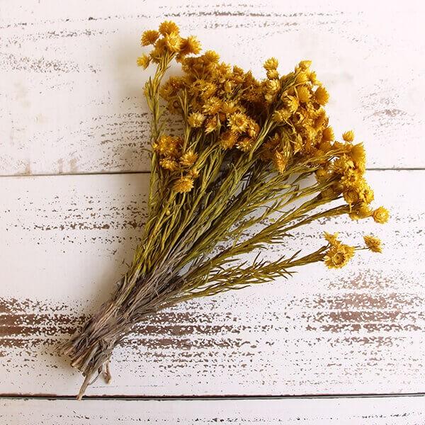 返品 交換対象商品 ドライフラワー 花材 即日出荷 東方貿易 ミニエバーラスティング イエロー ドライフラワー スワッグ ブーケ ドライフラワー花束 花束 リース