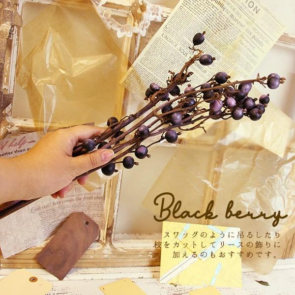 ドライフラワー 花材 即日出荷 特価 ブラックベリー (在庫限り) ピンク