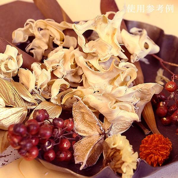 ドライフラワー 花材 即日出荷 特価 カーリーポッド (在庫限り