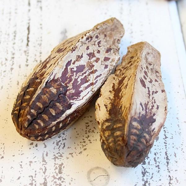 ドライフラワー 花材 即日出荷 マホガニーヘッド ナチュラル 実