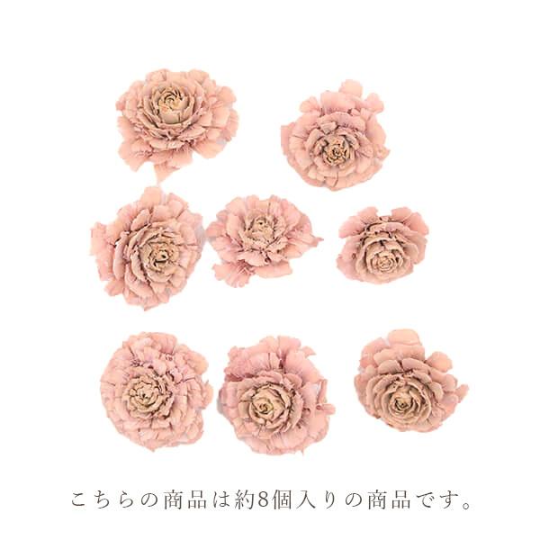 ドライフラワー 花材 即日出荷 シダーローズ ライトピンク 実 スワッグ