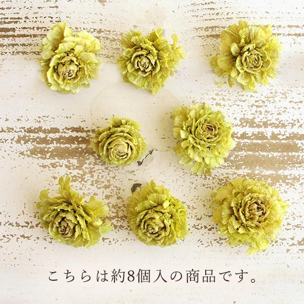 ドライフラワー 花材 即日出荷 シダーローズ ライトグリーン 実
