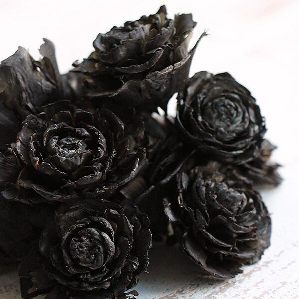ドライフラワー 花材 即日出荷 シダーローズ S 黒 実 スワッグ ブーケ