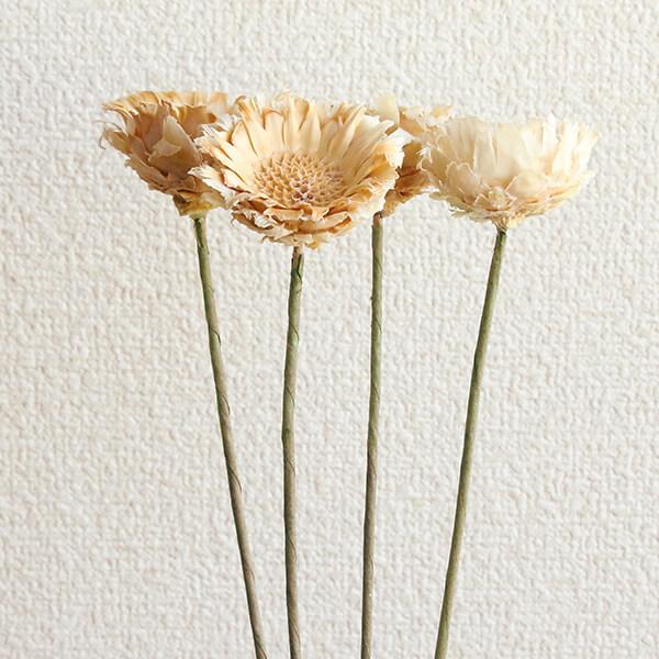 ドライフラワー 花材 即日出荷 期間限定特価 コンパクタ ワイヤーステム ホワイト ドライフラワー スワッグ ブーケ ドライフラワー花束 リース 卸 東方貿易（Yahoo!・造花ドライフラワー専門問屋花びし）