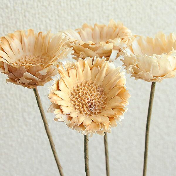 ドライフラワー 花材 即日出荷 期間限定特価 コンパクタ ワイヤー