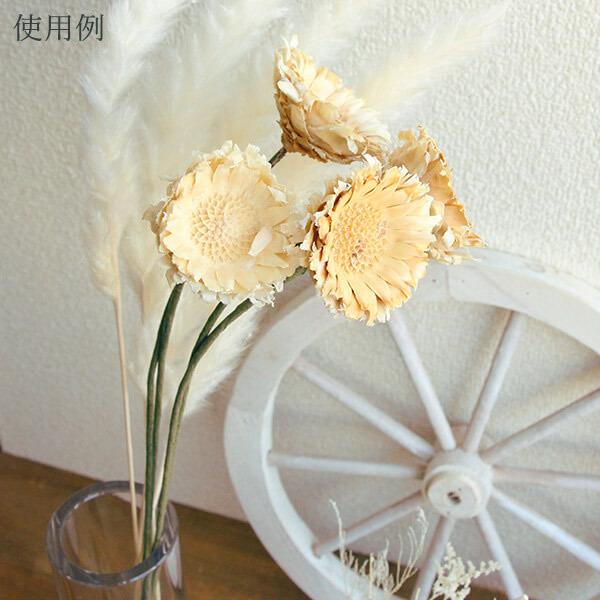 ドライフラワー 花材 即日出荷 期間限定特価 コンパクタ ワイヤー