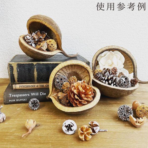 ベルギーナッツと青葛藤と枝ものを束ねた大きな　針葉樹のスワッグ　ドライフラワー ドライフラワー スワッグ ベルギーナッツと青葛藤と枝ものを束ねた