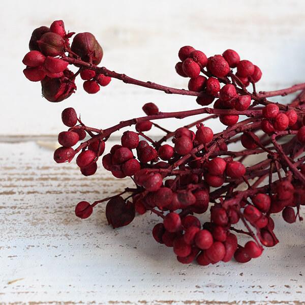 ドライフラワー 花材 即日出荷 なんきんはぜ レッド 実 スワッグ
