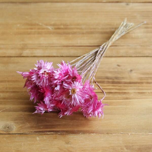 新版 ドライフラワー 花材 即日出荷 東方貿易 エバーラスティング ピンク ドライフラワー スワッグ ブーケ ドライフラワー花束 花束 リース 花材 Pmajk Gov Pk