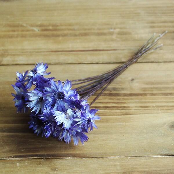 ドライフラワー 即日出荷 東方貿易 エバーラスティング お金を節約 自然素材 ナチュラルドライフラワー ドライ インテリア パープル インテリアフラワー