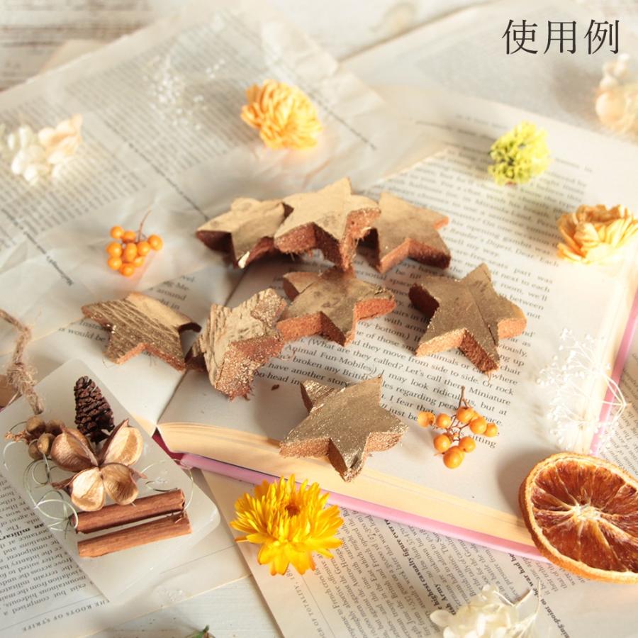 ドライフラワー 花材 即日出荷 ココスター&ハート 素材 材料 パーツ