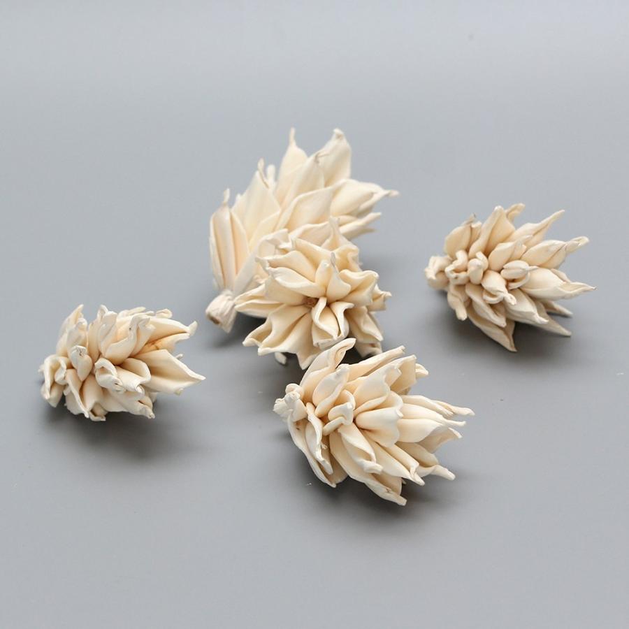 ハンドメイドフラワー 花材 即日出荷 プロテアミニヘッド ホワイト 花材 素材 材料 パーツ 白 プロティア ソラフラワー ハンドメイドフラワー 卸 東方貿易（Yahoo!・造花ドライフラワー専門問屋花びし）