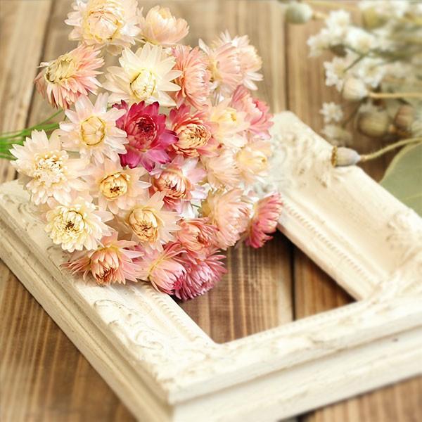 ドライフラワー 即日出荷 東北花材 ヘリクリサムワイヤー N ピンク Tka 600 造花ドライフラワー専門問屋花びし 通販 Yahoo ショッピング