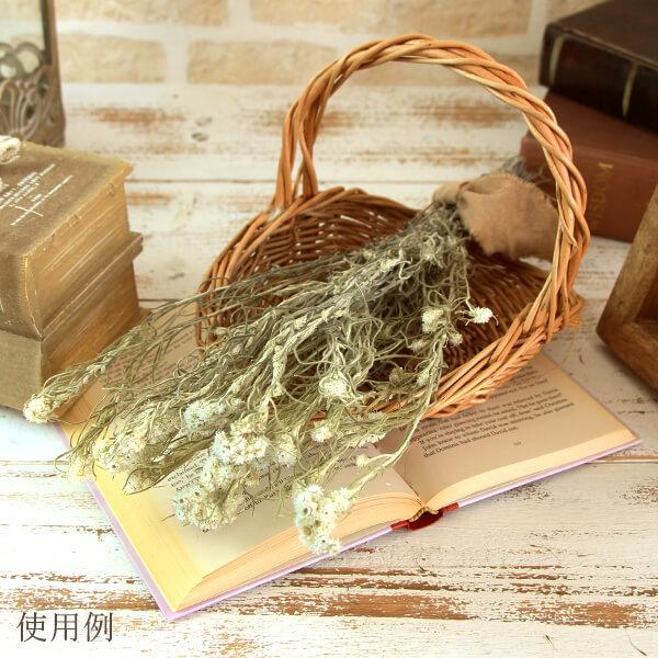 ドライフラワー 花材 即日出荷 ハハコグサ アナハリス ナチュラル