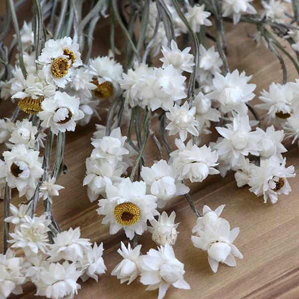 ホワイト3way ナチュラルドライフラワースワッグ48㎝ ドライフラワー ブーケスワッグ ナチュラルホワイト系 S | ドライ