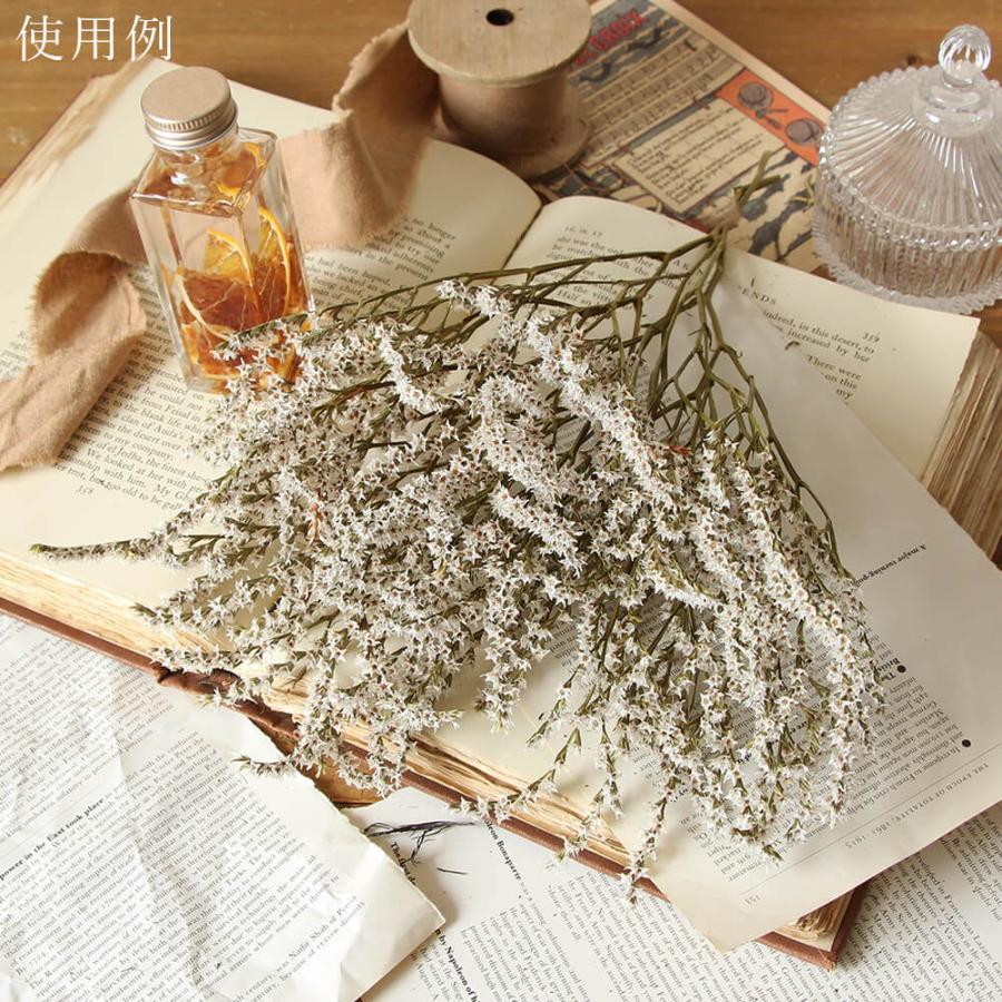 ドライフラワー 花材 即日出荷 タタリカ ナチュラル 素材 材料 パーツ