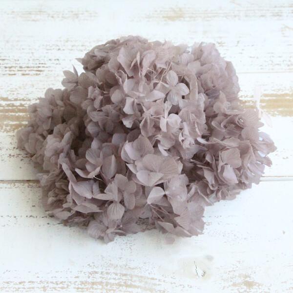 プリザーブドフラワー 花材 即日出荷 東花 ソフトあじさい美咲 オールドライラック アジサイ あじさい 紫陽花 花びら プリザーブドフラワー 花 ネット限定