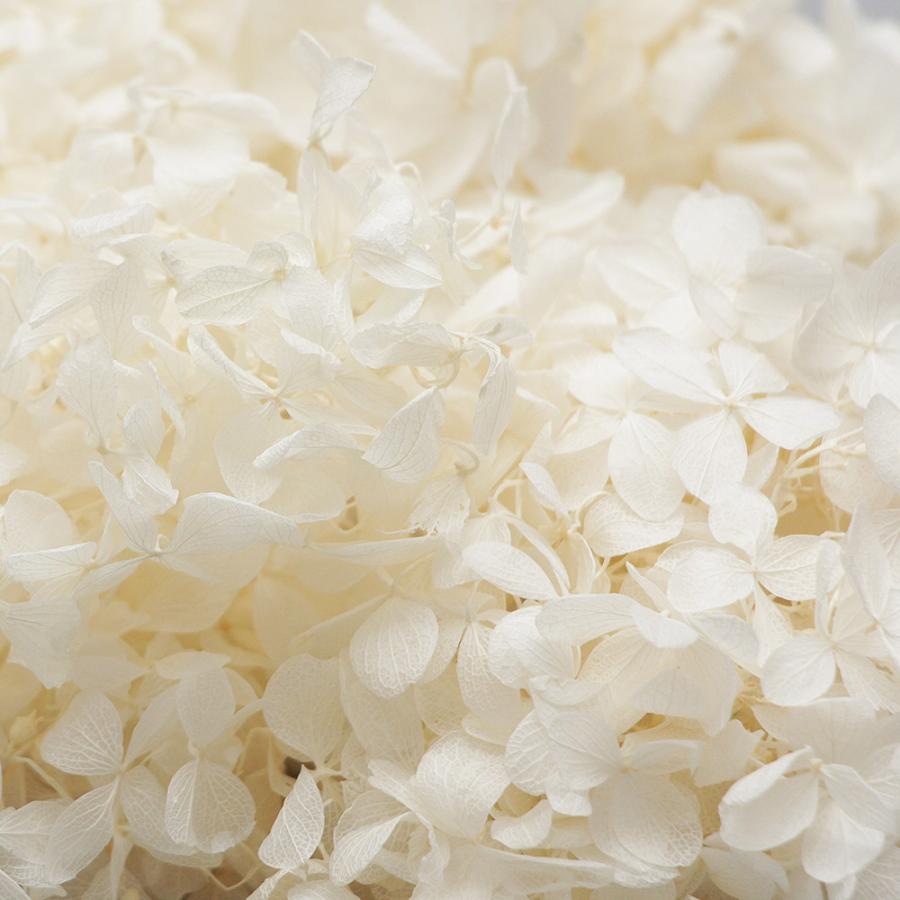 プリザーブドフラワー 花材 即日出荷 ソフトあじさいピラミッド プリザーブドフラワー 花材 即日出荷 ソフトあじさいピラミッド