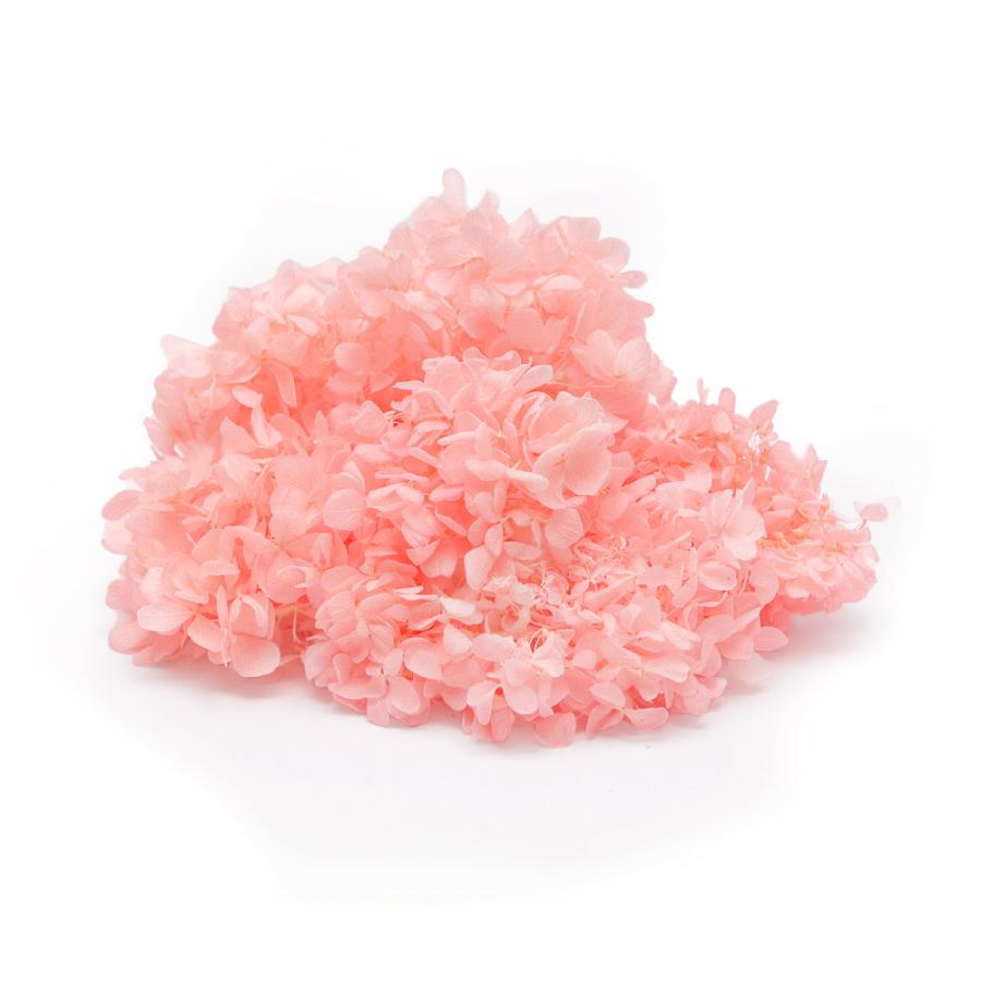 プリザーブドフラワー 花材 即日出荷 ソフトあじさいピラミッド ベビーピンク 花材 素材 材料 パーツ ドライフラワー アジサイ あじさい 紫陽花 花束 東花（Yahoo!・造花ドライフラワー専門問屋花びし）