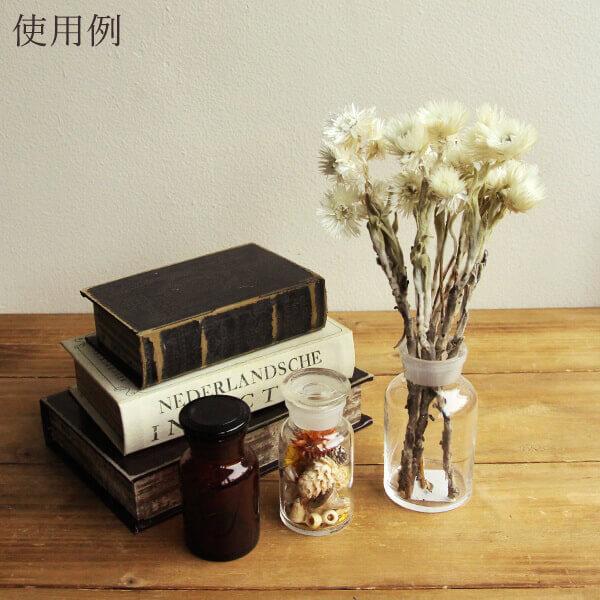 ドライフラワー 花材 即日出荷 シルバーデージーミニ ナチュラル