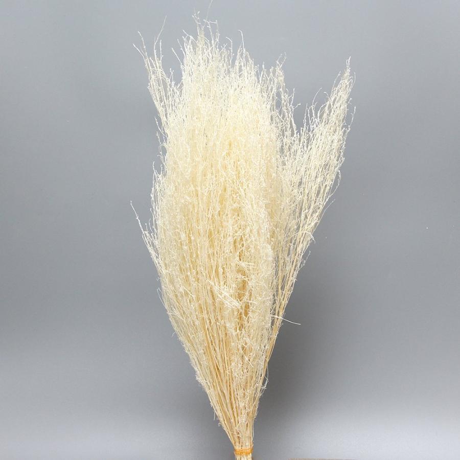 ドライフラワー 花材 即日出荷 コキア束 サラシ 枝 白 ほうき草