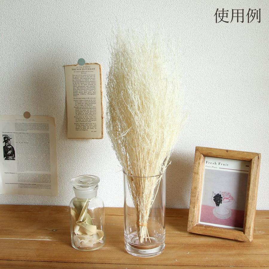 ドライフラワー 花材 即日出荷 コキア束 オフホワイト 枝 白 ほうき草