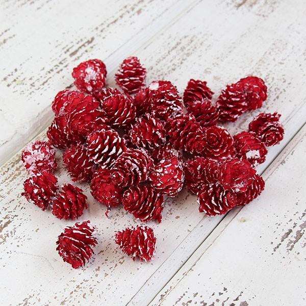 サービス リース 木の実 花材 ドライフラワー 花 アレンジ ドライフラワー 材料 レッドエッジホワイト 即日出荷 花材 カラ松 カラマツ 素材 東花 ドライフラワー