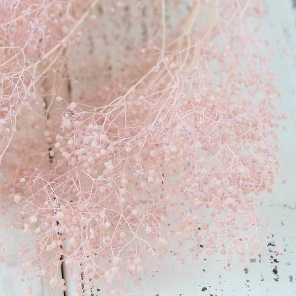 プリザーブドフラワー 花材 即日出荷 ソフトミニカスミ ピンク かすみ
