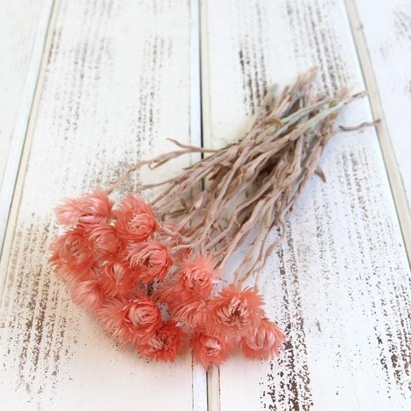 大きい割引 ドライフラワー 花材 即日出荷 東北花材 シルバーデージー ミニ コーラルオレンジ ドライフラワー スワッグ ブーケ ドライフラワー花束 花束