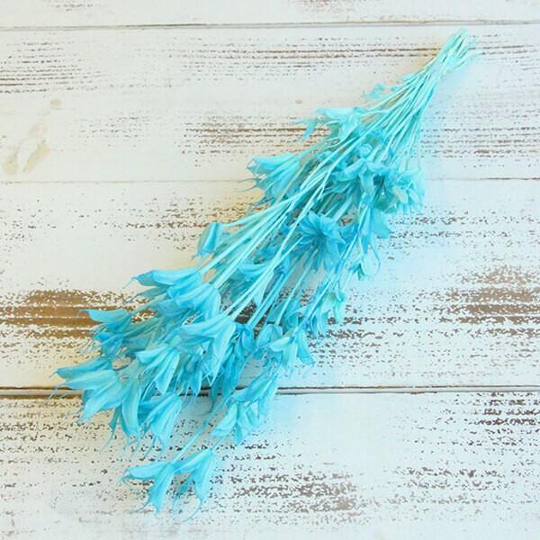 ドライフラワー 即日出荷 東北花材 空 当店在庫してます ニゲラオリエンタリス ミディ