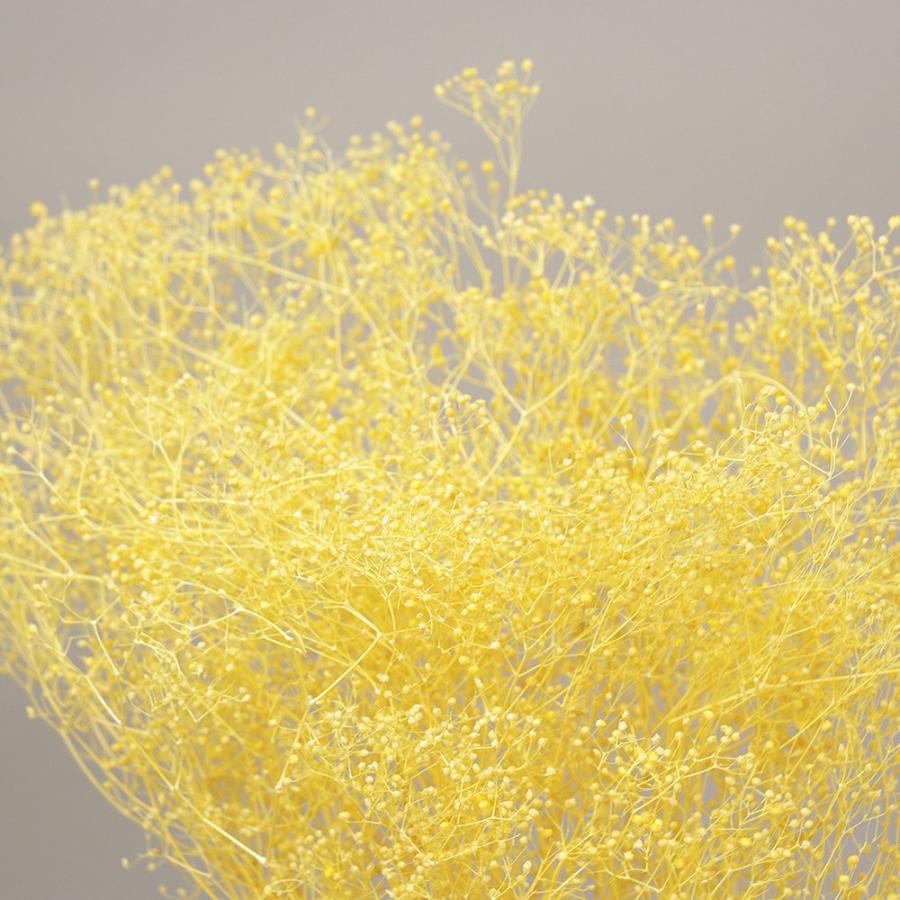 プリザーブドフラワー 花材 即日出荷 ソフトミニカスミ レモン かすみ