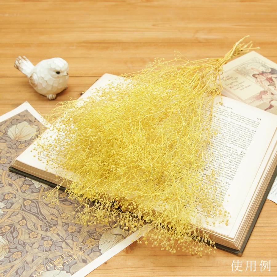 プリザーブドフラワー 花材 即日出荷 ソフトミニカスミ レモン かすみ