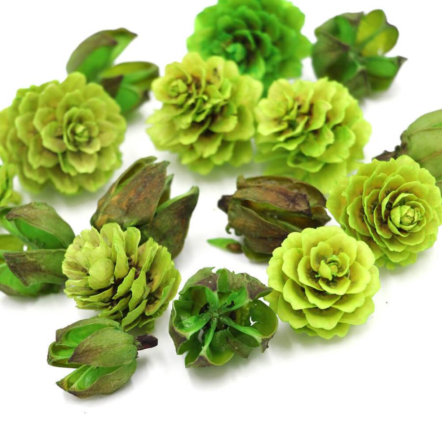 ドライフラワー 花材 即日出荷 FM木の実アソート 2種アソート(80703