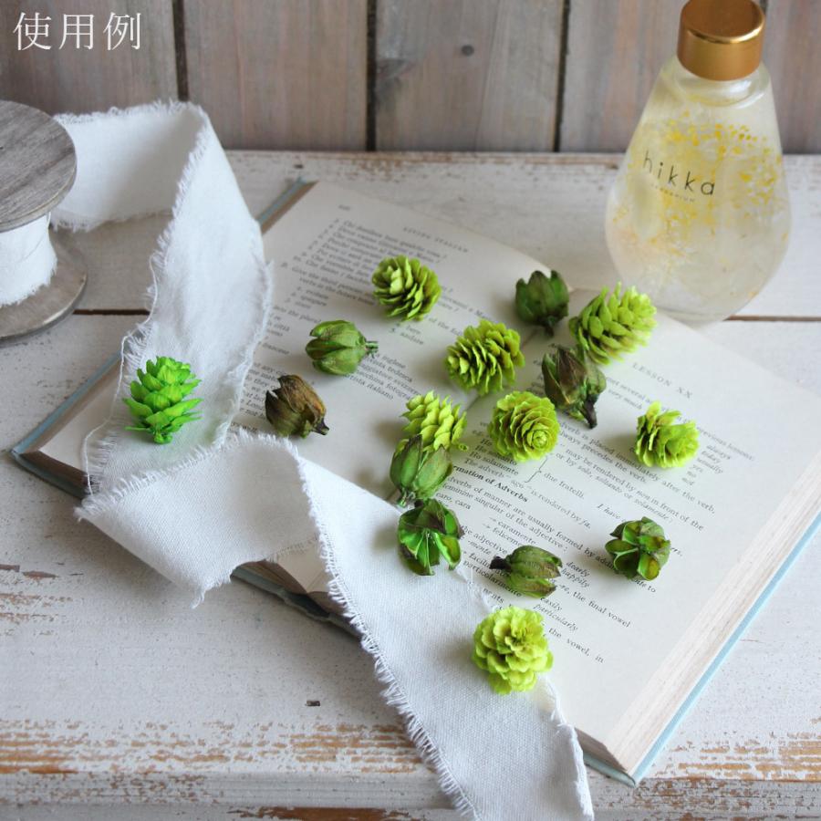 ドライフラワー 花材 即日出荷 FM木の実アソート 2種アソート(80703