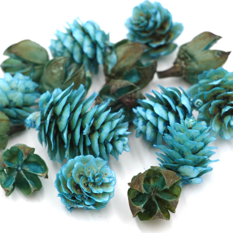 【専用】木の実詰め合わせ　No.498 JR 24系25形特急寝台客車(北斗星3・4号・JR北海道仕様)基本セット