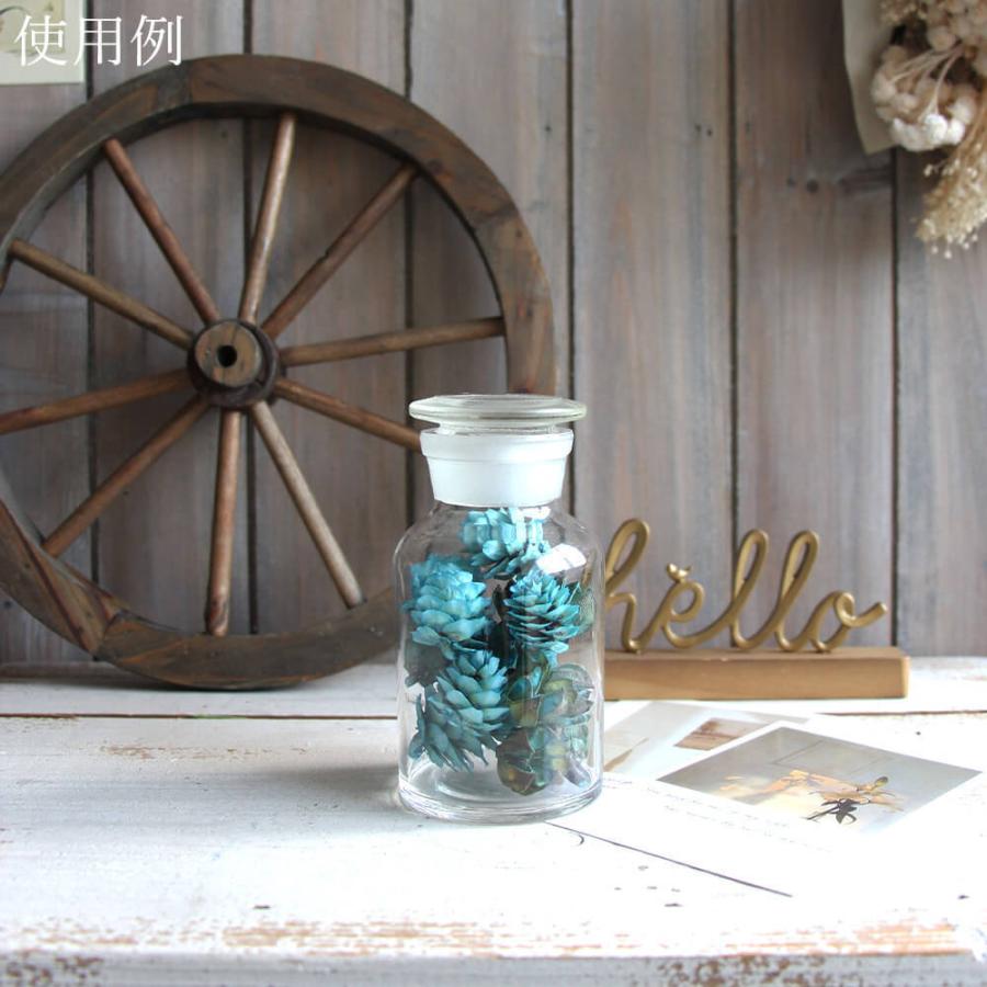 ドライフラワー 花材 即日出荷 FM木の実アソート 2種アソート(80704